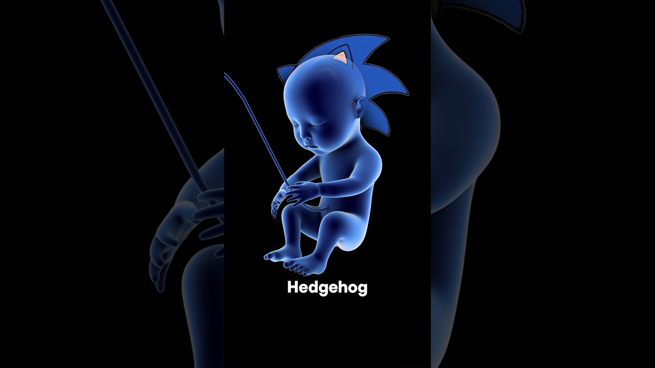 Sonic the Hedgehog is INSIDE YOU
