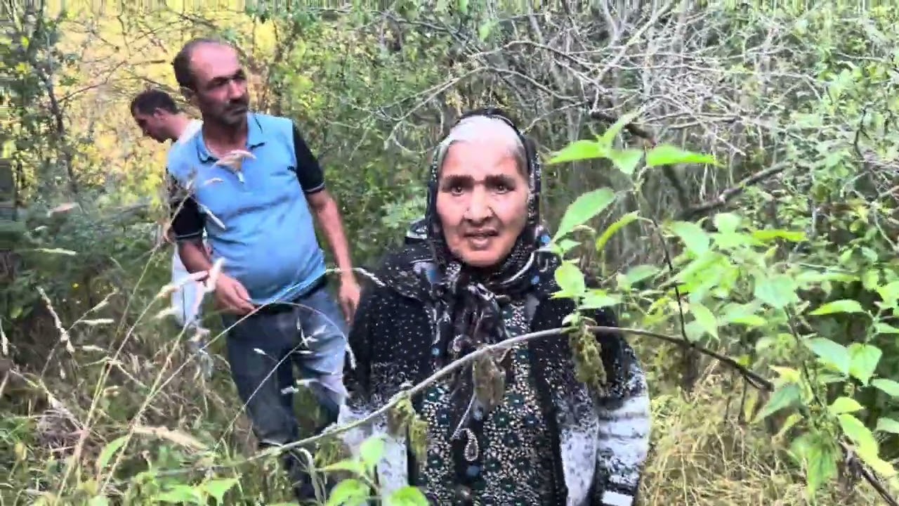 Kəlbəcər Rayonu Susuzluq Kəndi 2024