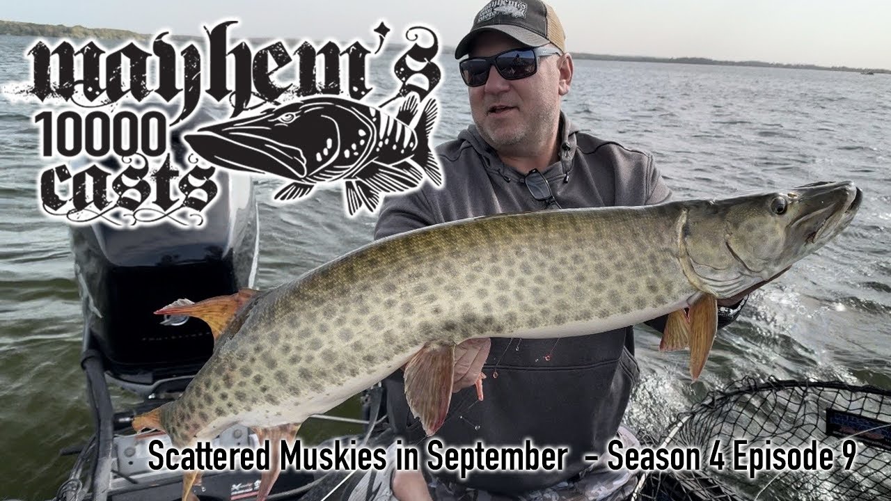 Season 4 Episode 9 - Scattered Muskies in September