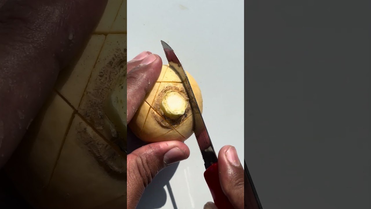 Amazing fruit cutting design #fruit #shorts #usa #viral #food #trending #satisfying #cuttingskills