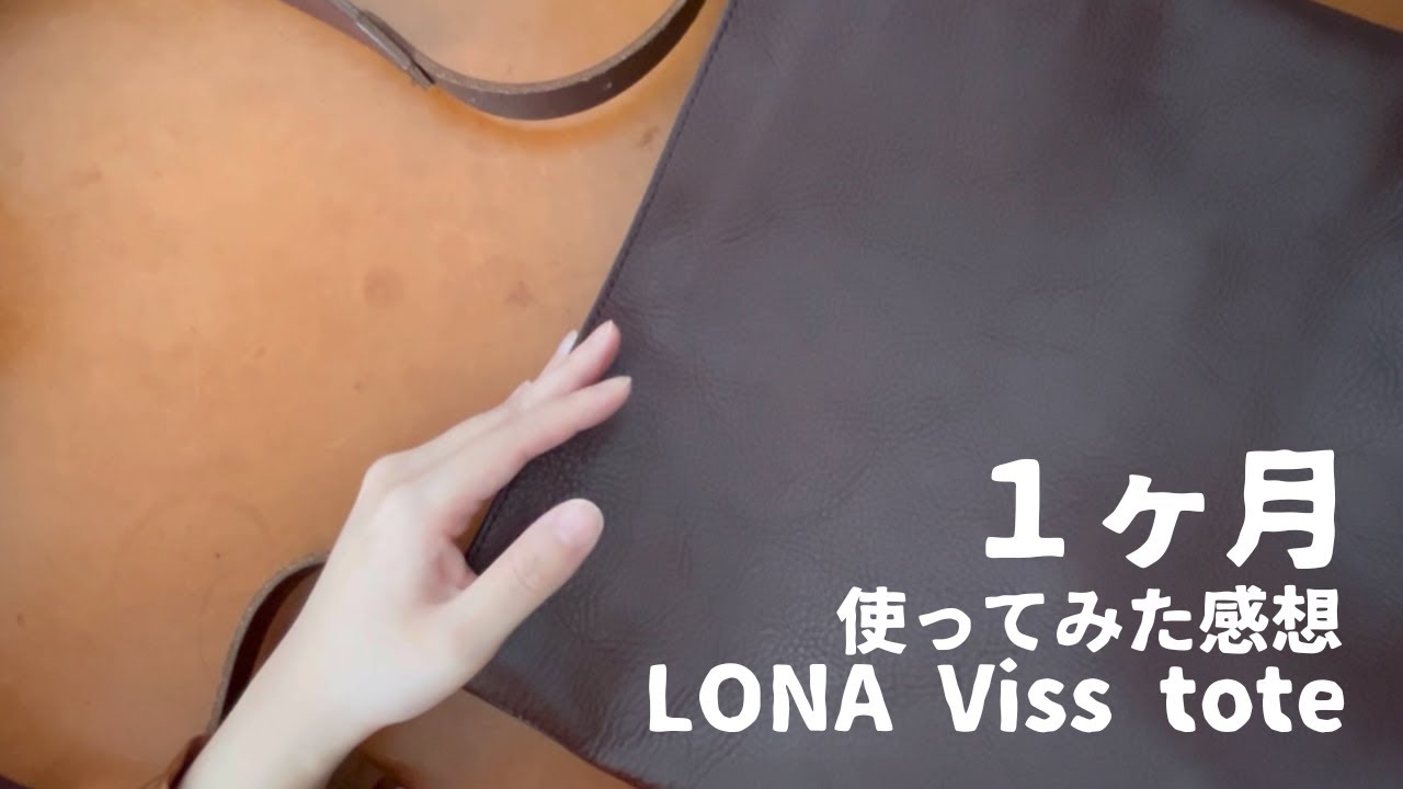LONA Viss toteを１ヶ月使ってみた感想（経年変化・使い心地）レビュー