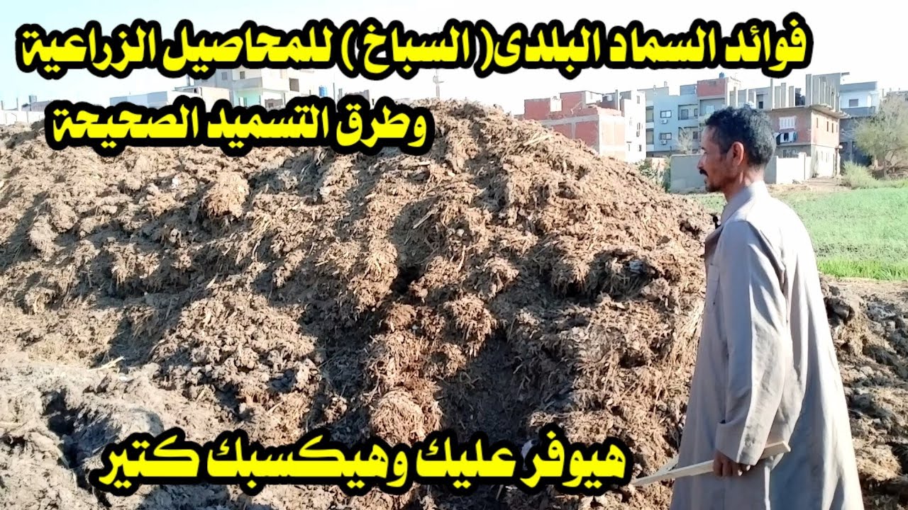 فوائد السماد البلدى ( السباخ ) وطرق التسميد الصحيحة للمحاصيل الزراعية / هيوفر عليك  وهيكسك كتير