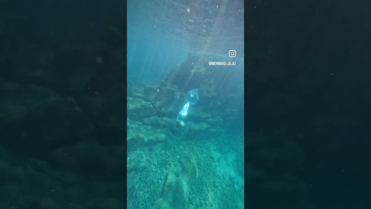 제주에 나타난 인어 | Mermaid lives in Jeju Island  #제주인어 #mermaidjeju