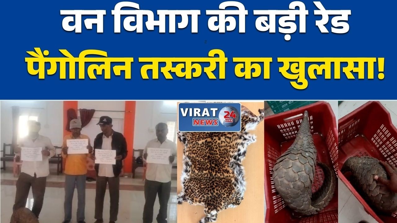 शहडोल में पैंगोलिन तस्करी का पर्दाफाश जिंदा पैंगोलिन और तेंदुए की खाल बरामद,