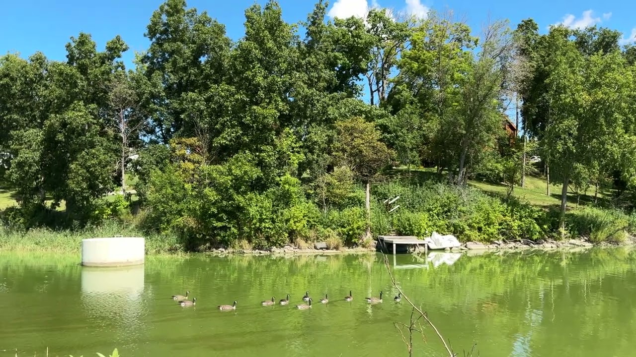Driving Down the Fox River Trail in Little Chute, Wisconsin.