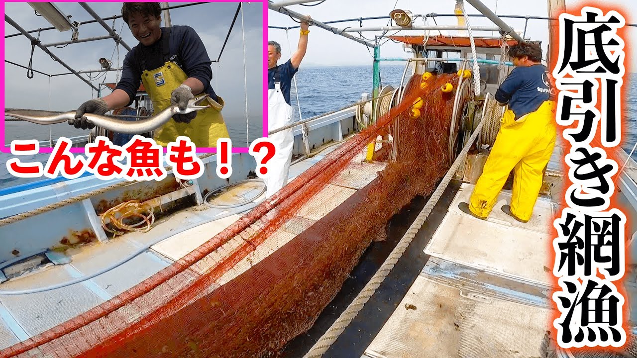 【日本釣り旅#6】大阪湾で初の底引き網漁を体験してみた！