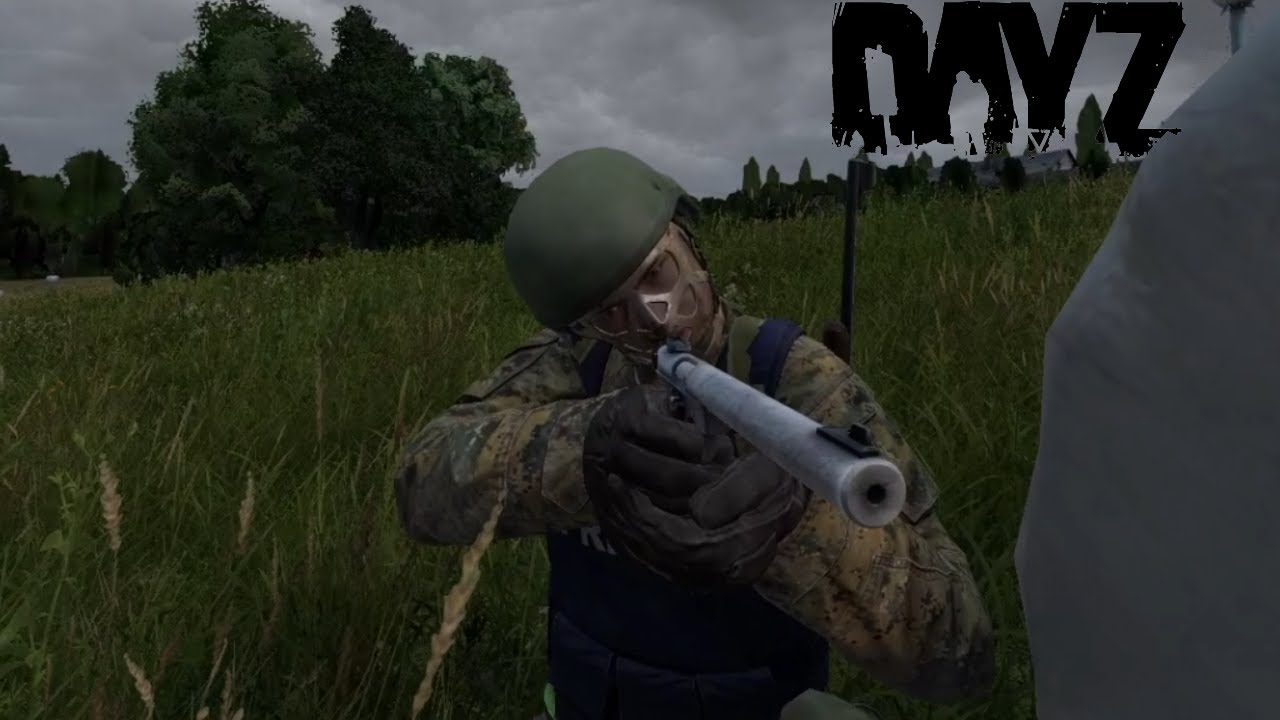 Building a Cosy SOLO BASE on WIPE DAY - Dayz - Part 2