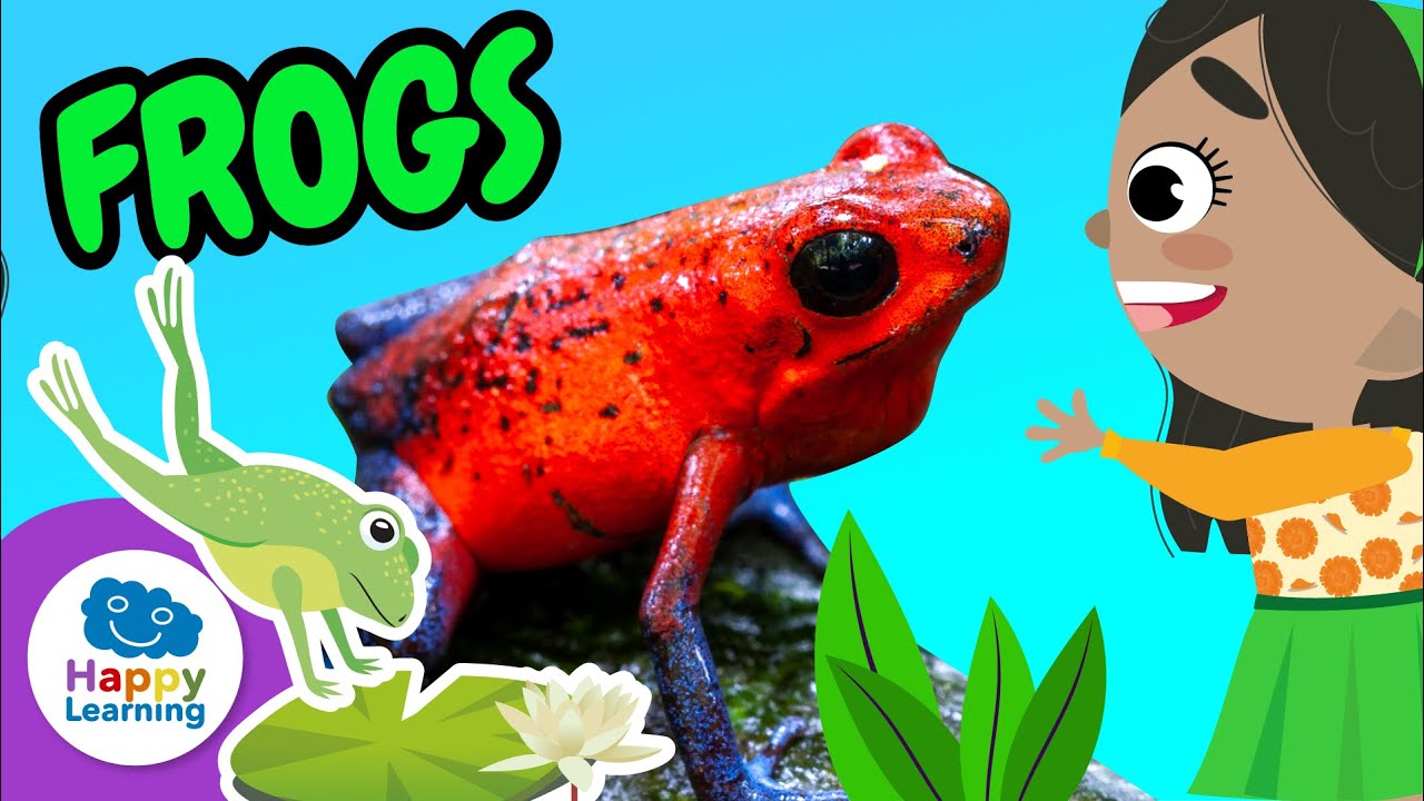 Fascinating Facts about Frogs | Happy Learning 🐸🌿✨