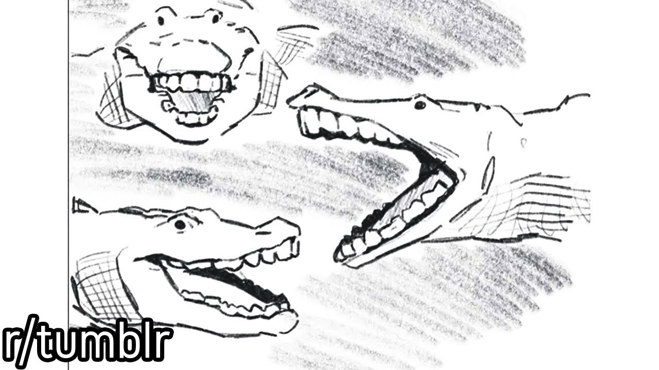 r/tumblr | Gator's with Human Teeth...