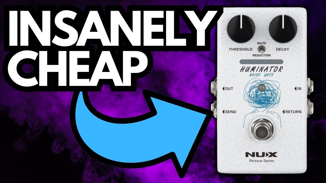 This BUDGET Noise Gate Does WAY More Than It Should...