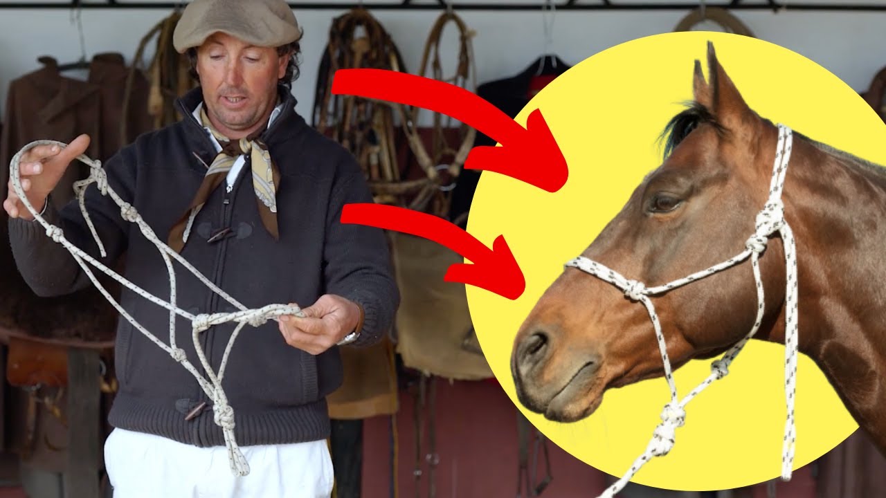 Cómo Hacer Un Bozal/Jáquima/Cabezal De Cuerda en 5 Minutos [Rope Halter]