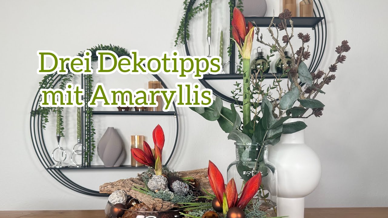 Drei Dekotipps mit Amaryllis 