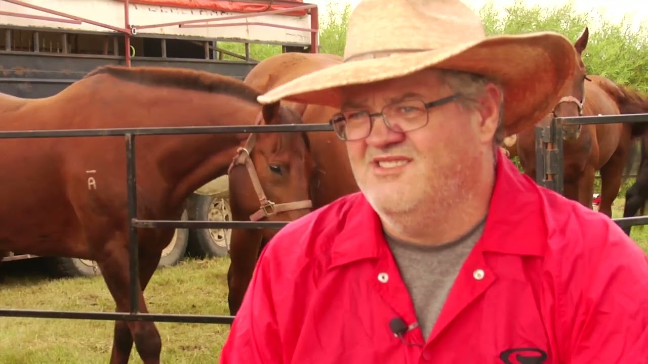 Trackmasters: Chuckwagon racing