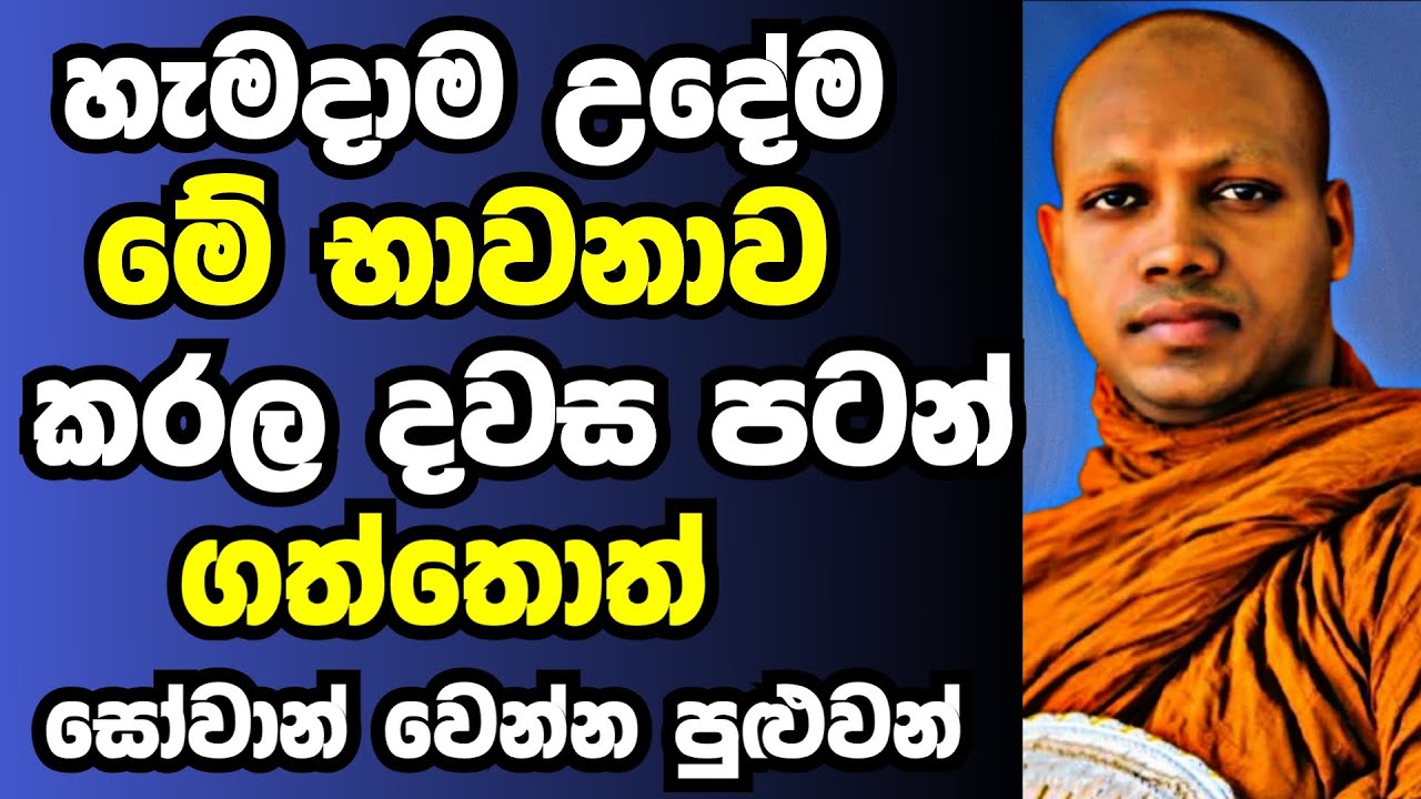 හැමදාම උදේට මේ භාවනාව කරල දවස පටන් ගන්න | Ven hasalaka seelawimala thero bana 2025