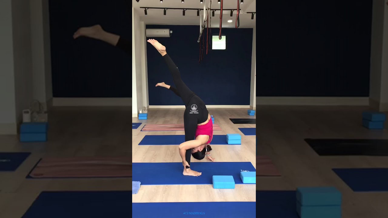 Hatha Flow with Teacher Niddesh