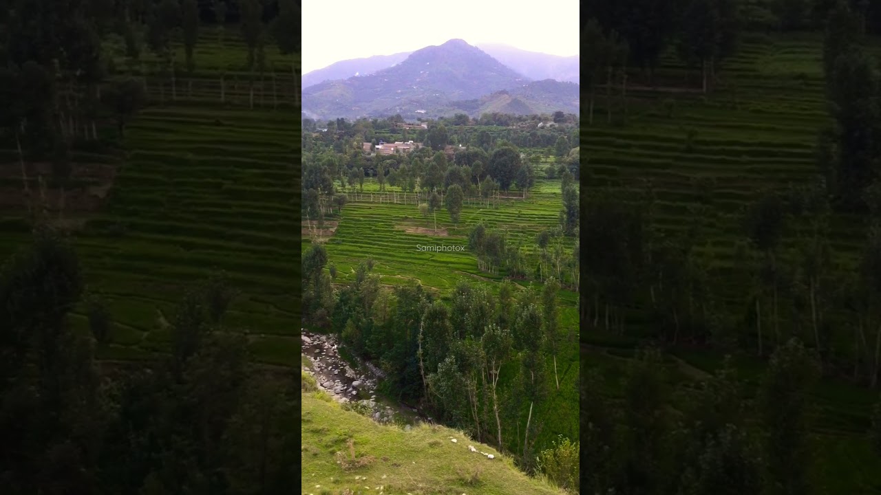 Beautiful view Kozasamai park  Tall, Kabal Swat, Kpk #shorts