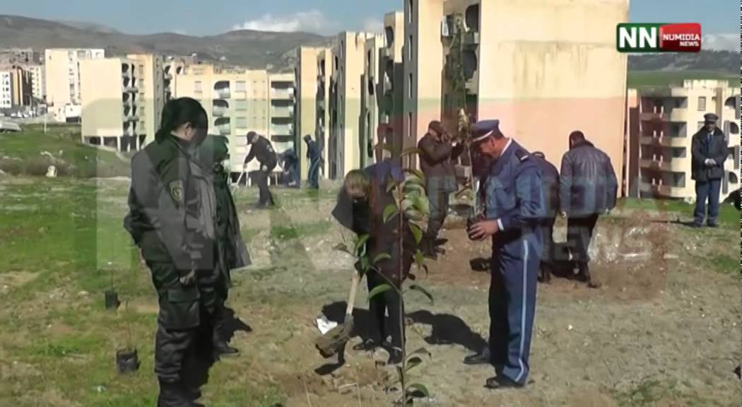 نوميديا نيوز: حملة تشجير بحي بوالصوف عبد الحفيظ... قسنطينة 18 03 2015
