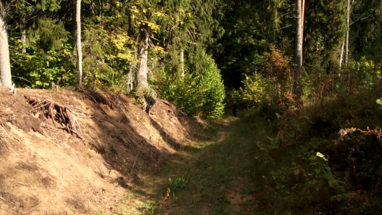 Janukjärv ja Anna Haava