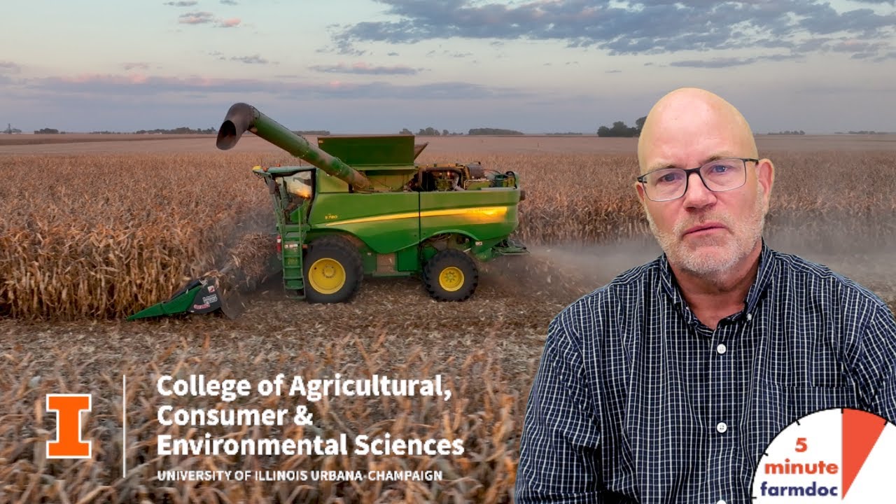 Declining Crop Prices and Costs: What Farmers Can Expect in 2024