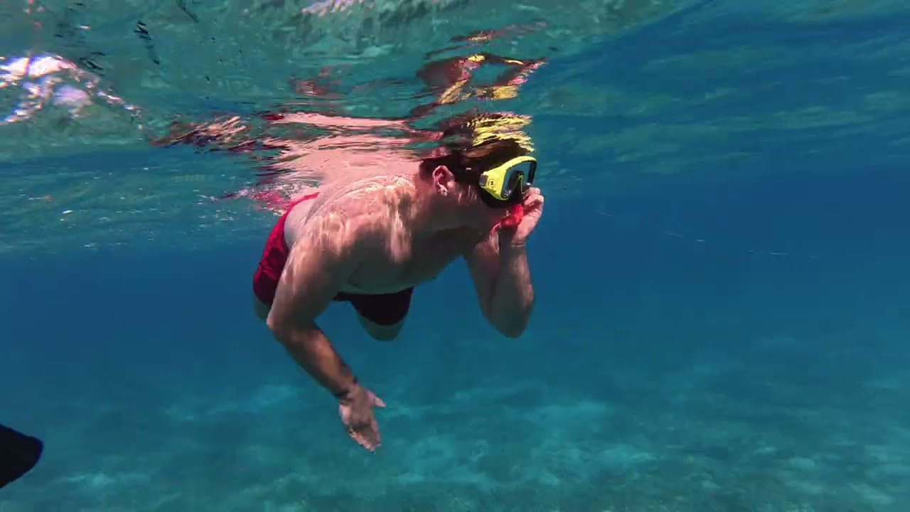 Amwaj Beach Club Snorkeling: Sea Turtle, Stingray & HUGE Fish School | Red Sea 2025