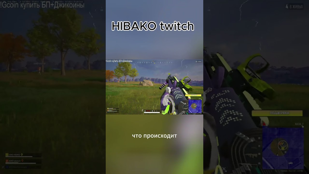 HIBAKO twitch  ХЕХ МДА