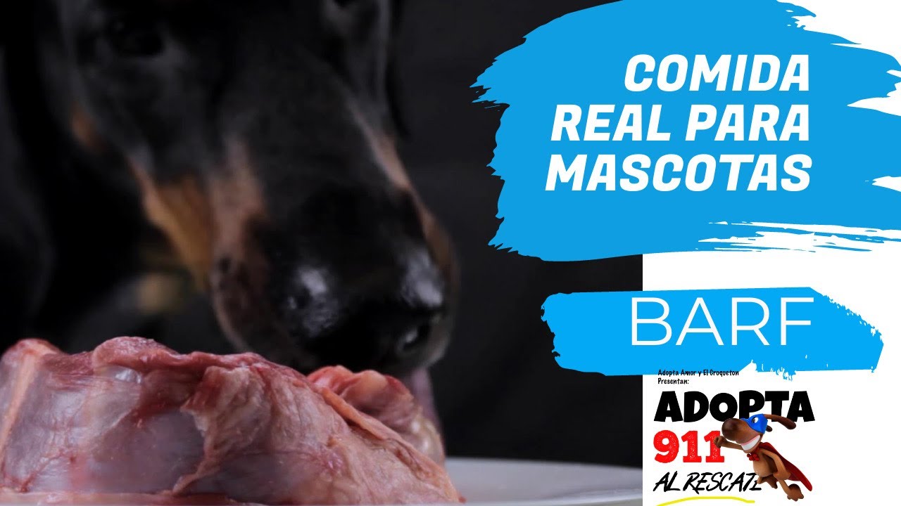 COMIDA REAL PARA MASCOTAS, BARF, ALIMENTACION BIOLOGICAMENTE ADECUADA /ACBA