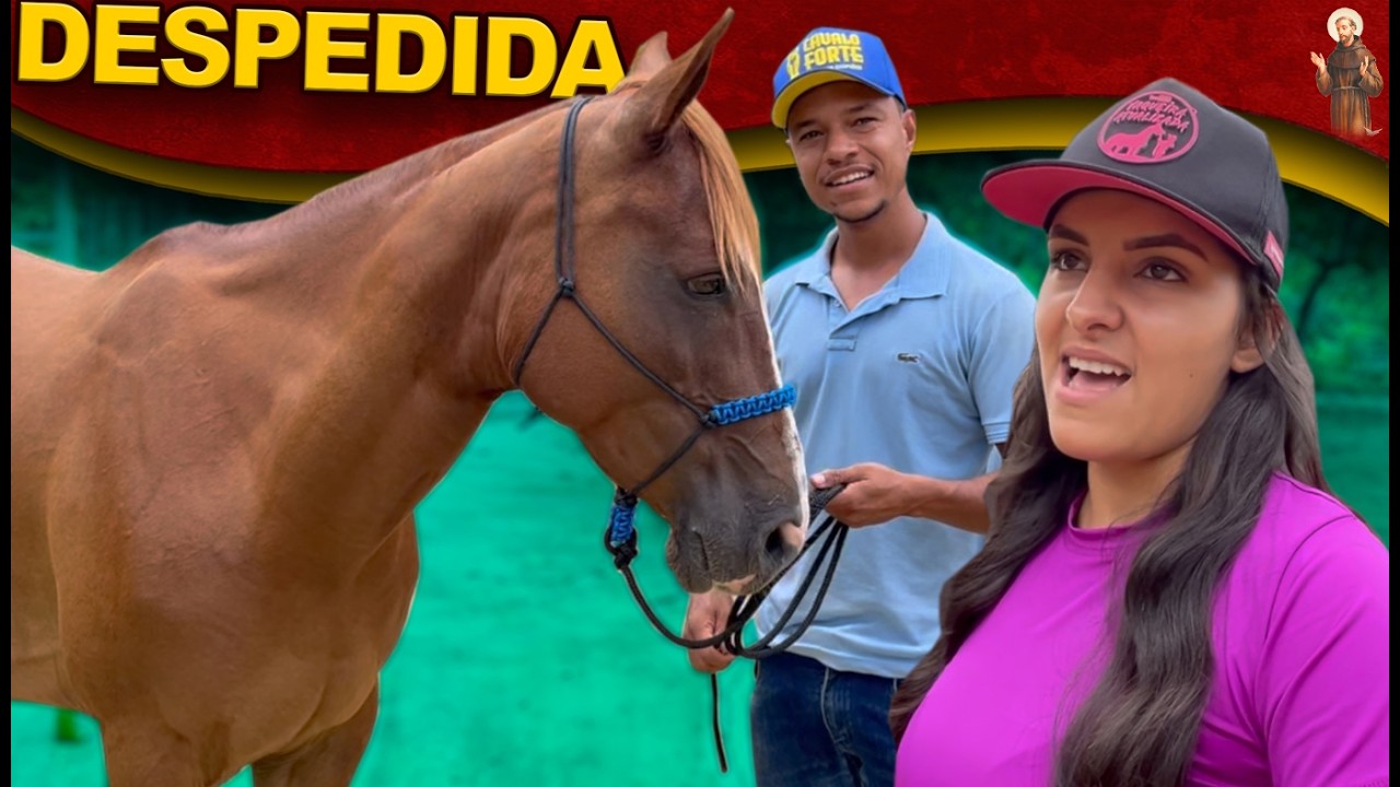 Fechou negocio, Kiara foi vendida + Preparando surpresa para novo dono.