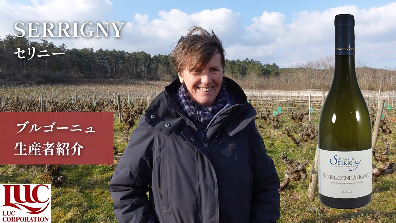 【Serrigny】セリニー　～生産者紹介＆アリゴテの畑～