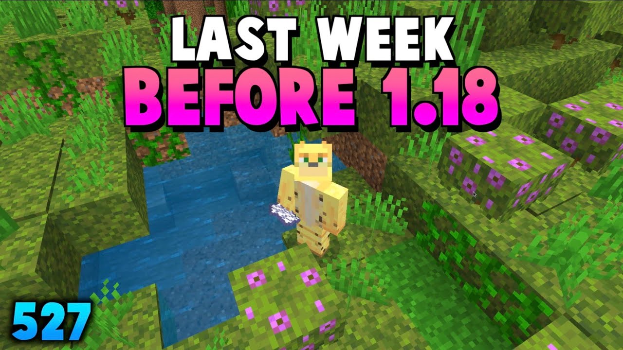 I Can't Believe I Waited So Long To Do This (527)
