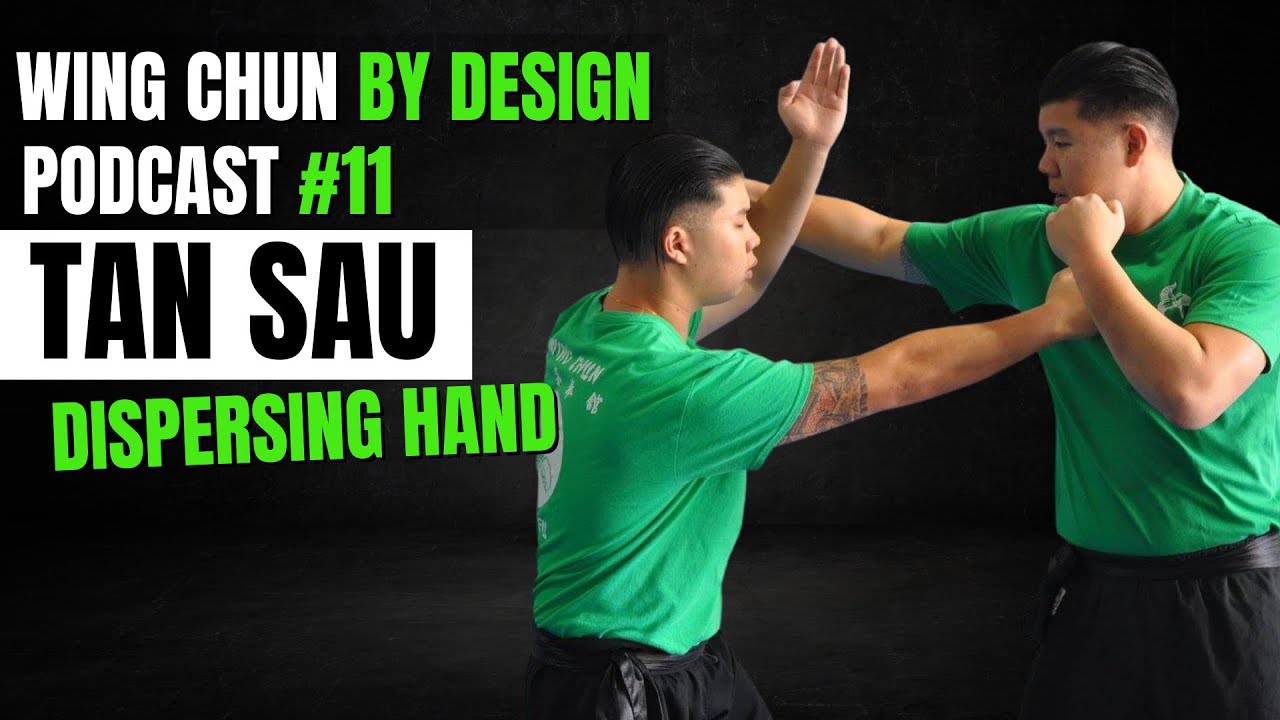 Вин Чун по дизайну, эпизод 11 — Тан Сау, рассеивающая рука