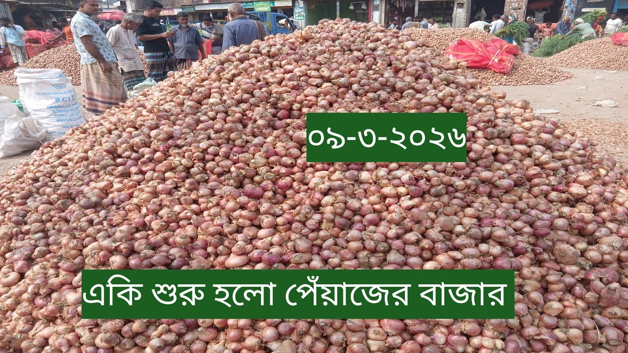 পাবনা ধুলাউড়ি হাটে থেকে পেঁয়াজের আপডেট খবর 