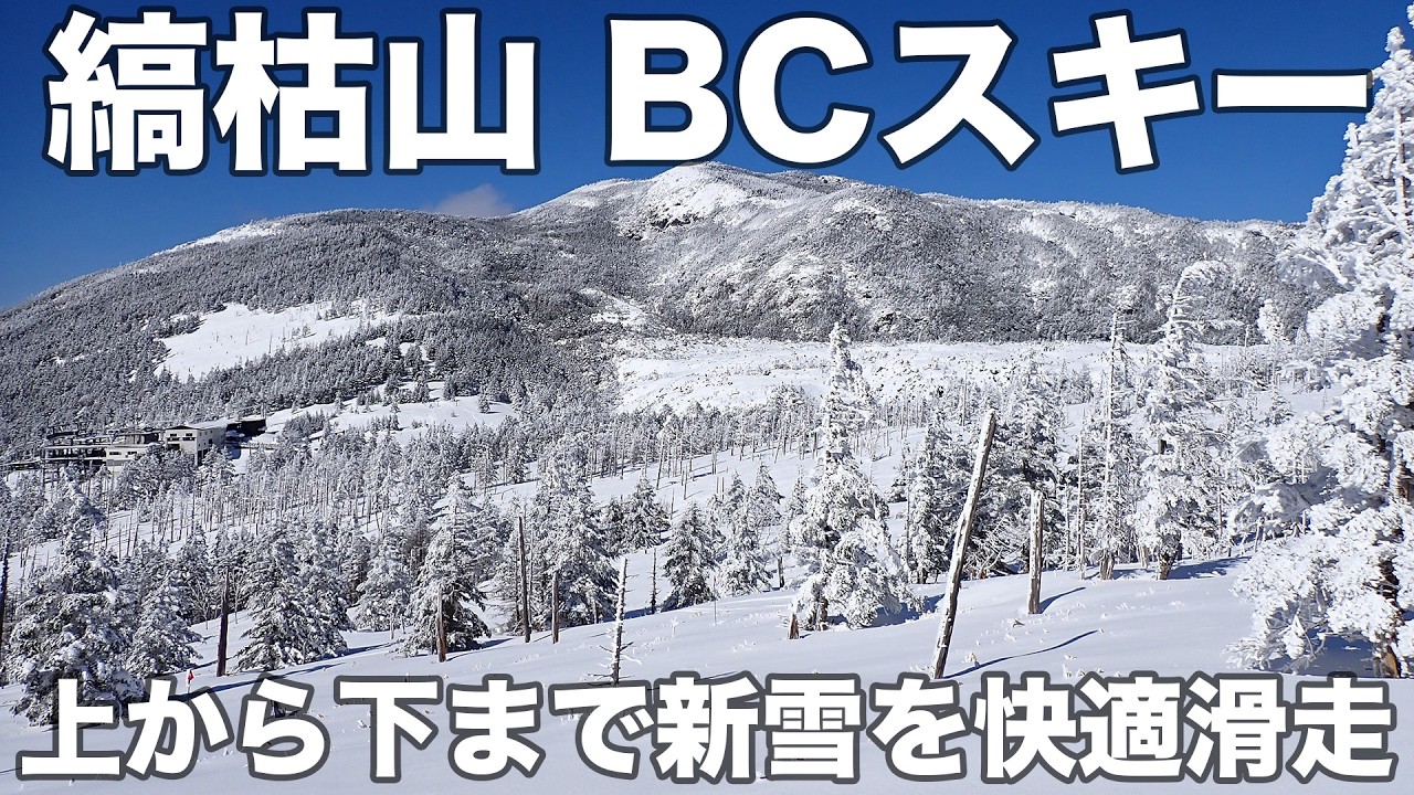 【超速報】縞枯山 BCスキー 2026年2月12日 上から下まで新雪を快適滑走