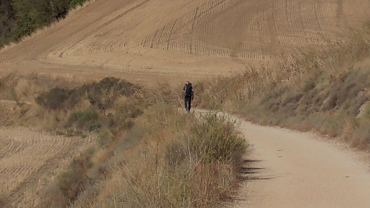 My Camino Diary