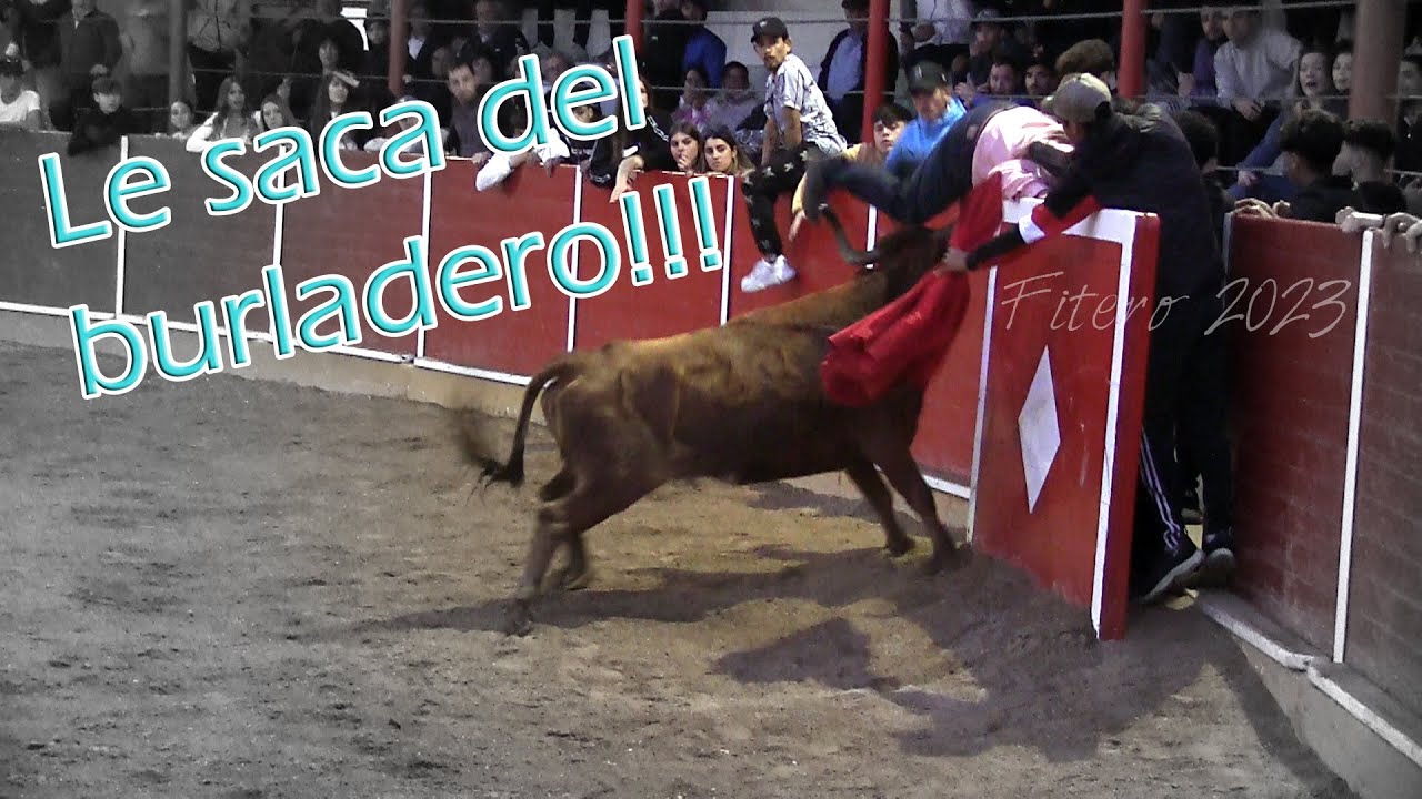 LE SACA DEL BURLADERO!!! 🙆‍♂️ Fitero (15-3-23)