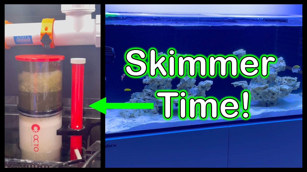 Red Sea Reefer G2 Reef Tank Build | Adding New Skimmer (Reef Octopus)