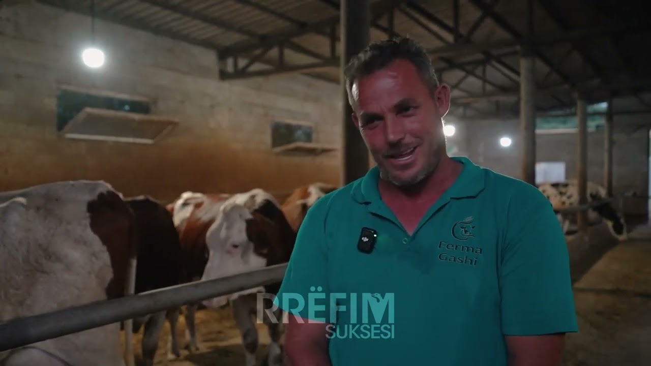 Fermeri më i suksesshëm në Rahovec, la Zvicrën dhe sot kujdeset për 80 krerë lopë.