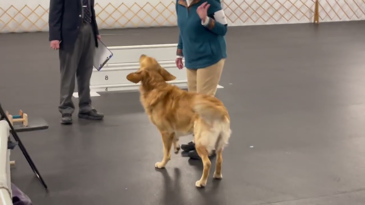 Banjo Utility Title 196.5 and 4th place  3/8/26