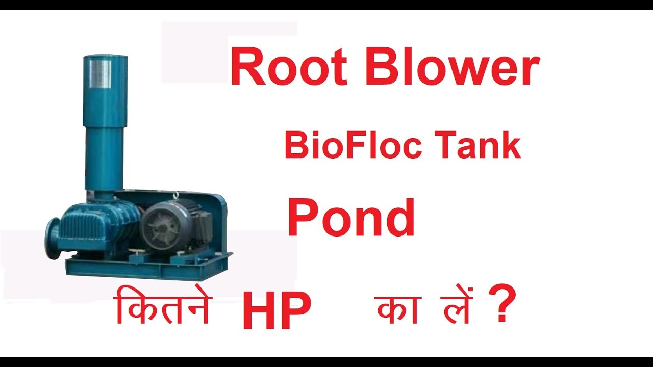 Root blower for BioFloc tank and pond aquaculture