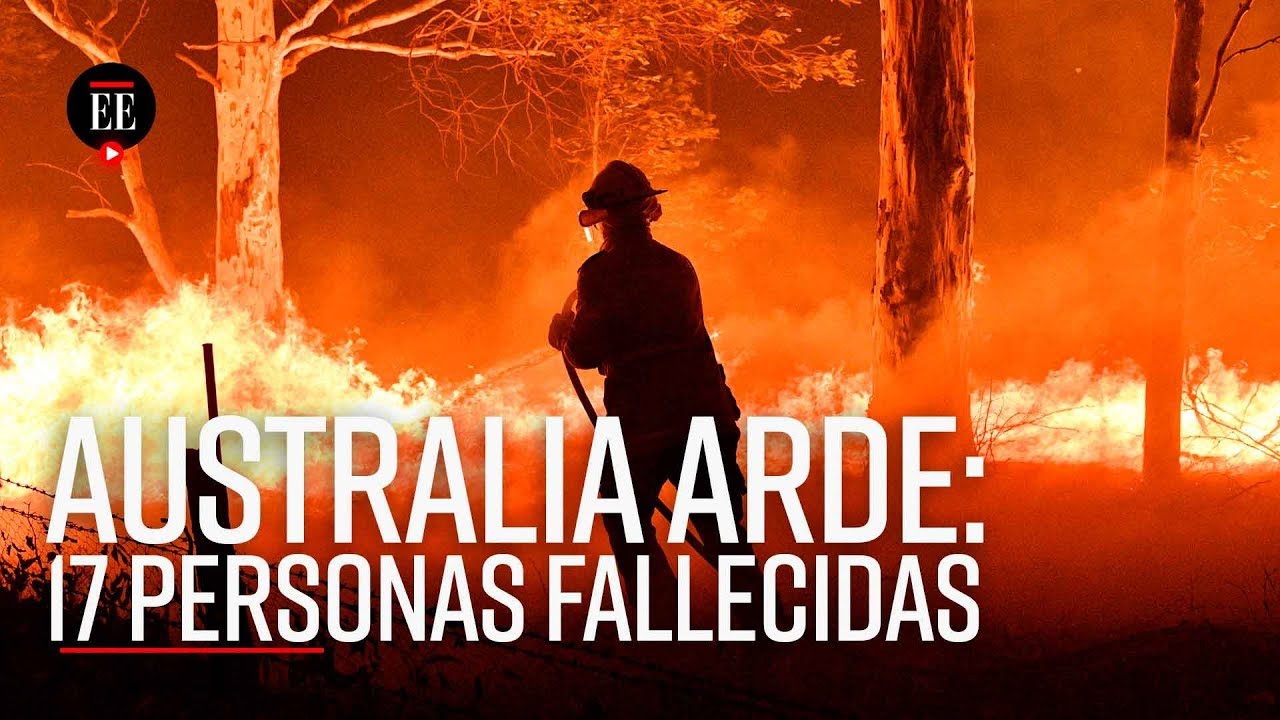 Incendios en Australia acaban con 12 millones de hectáreas de bosque - El Espectador