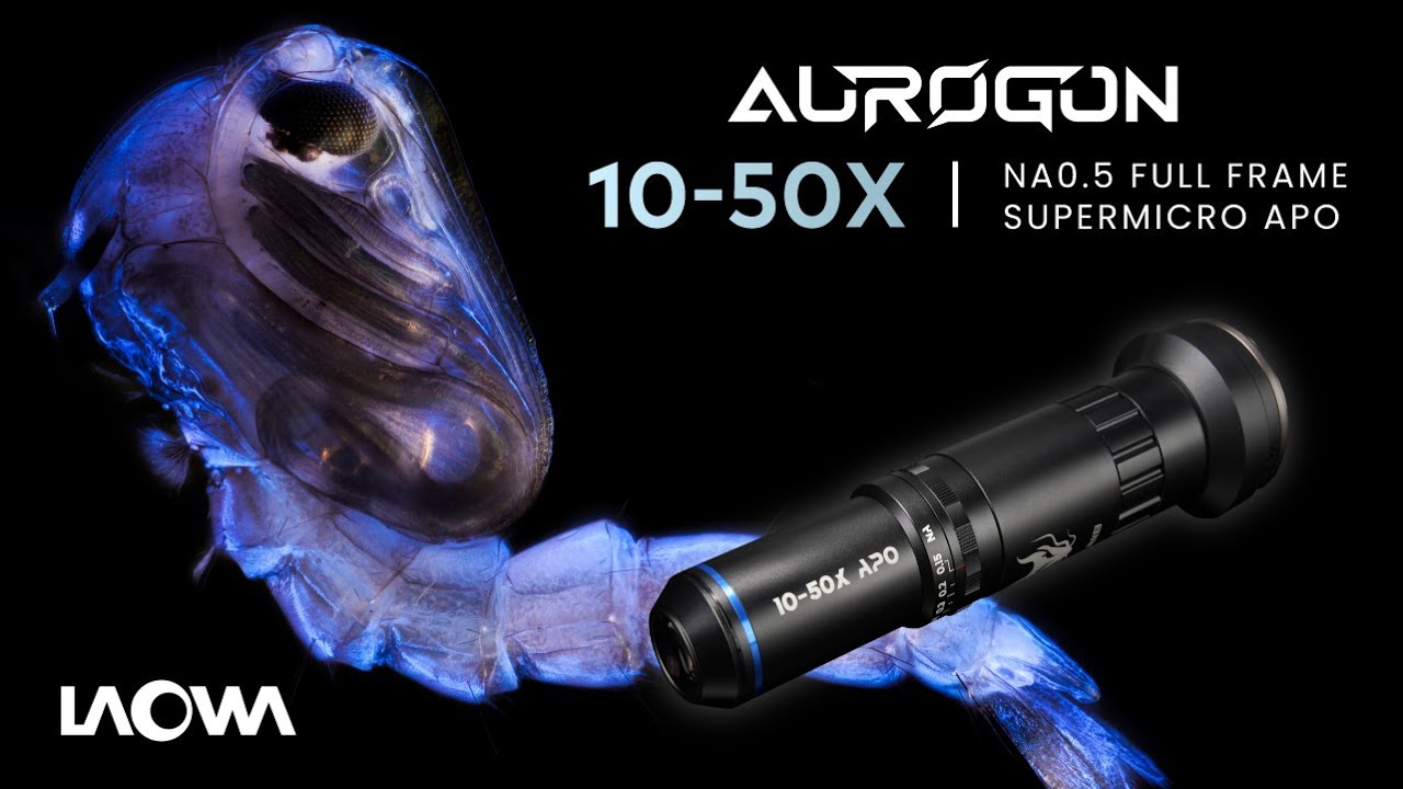 Laowa Aurogon FF 10-50X NA0.5 Supermicro APO