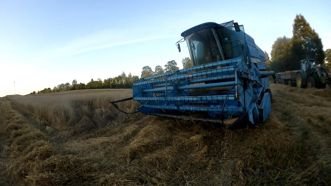 Przyszłość płockiej FMŻ Bizon Dynamic Z115