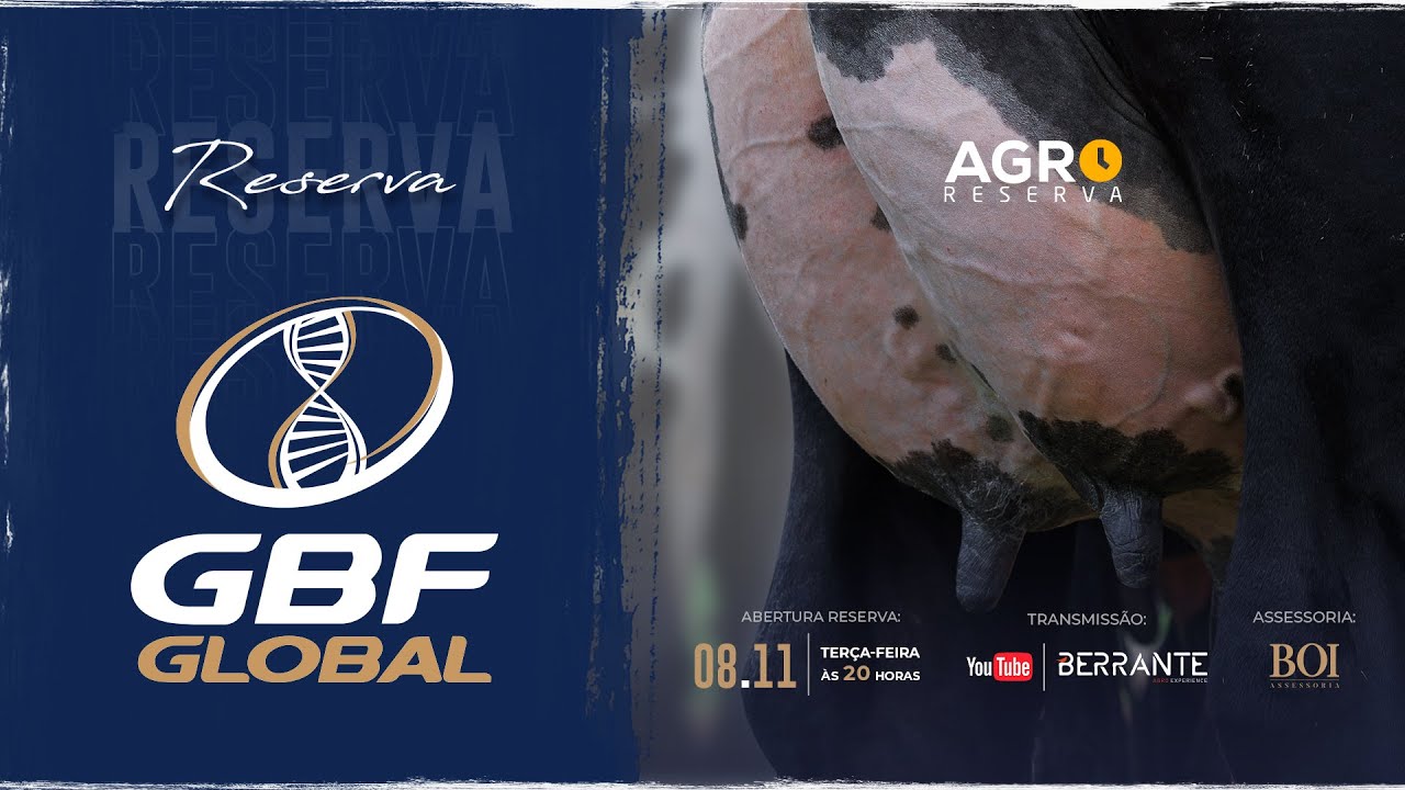 RESERVA GIROLANDO GBF GLOBAL