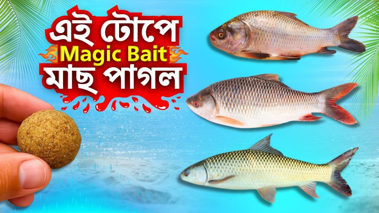 🔥 মাত্র ২ উপাদান! 100% কার্যকর রুই কাতলা মৃগেল মাছের জাদু টোপ! । 2 Ingredient Magic Fish Bait 🎣