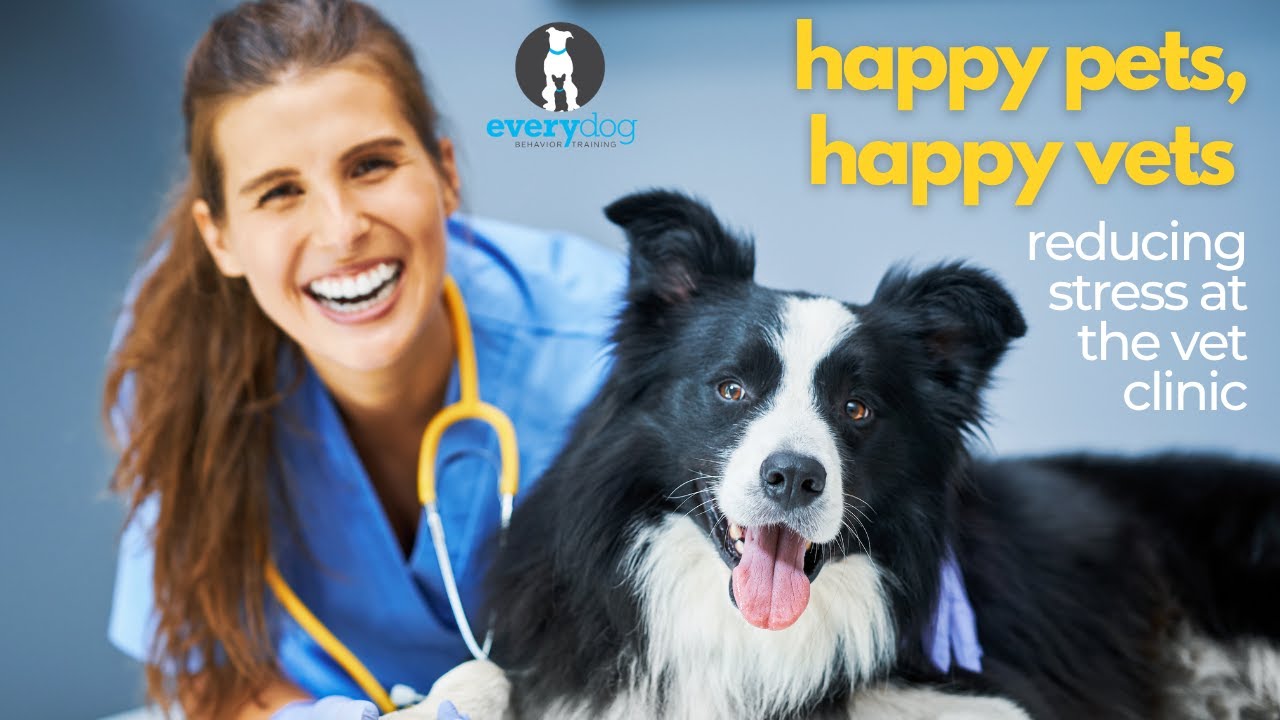 Happy Pets Happy Vets: Reducing Stress at the Vet Clinic