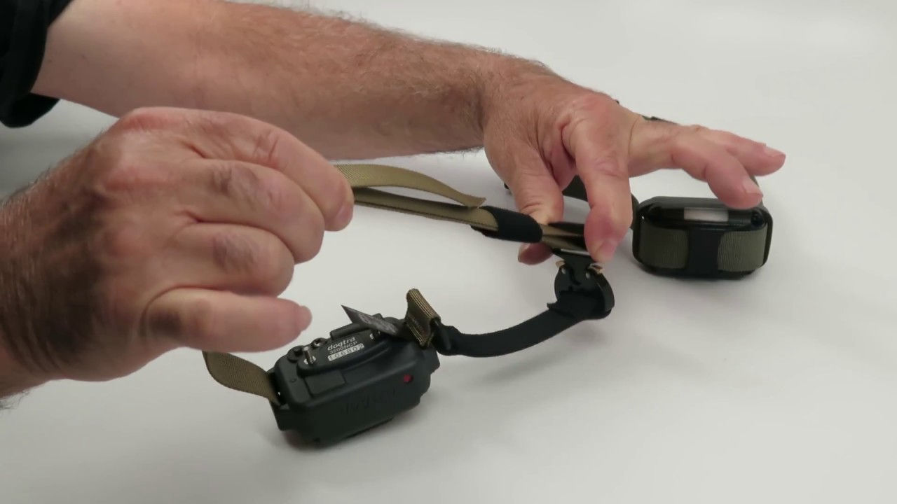 Quick Elastic E-Collar Holder