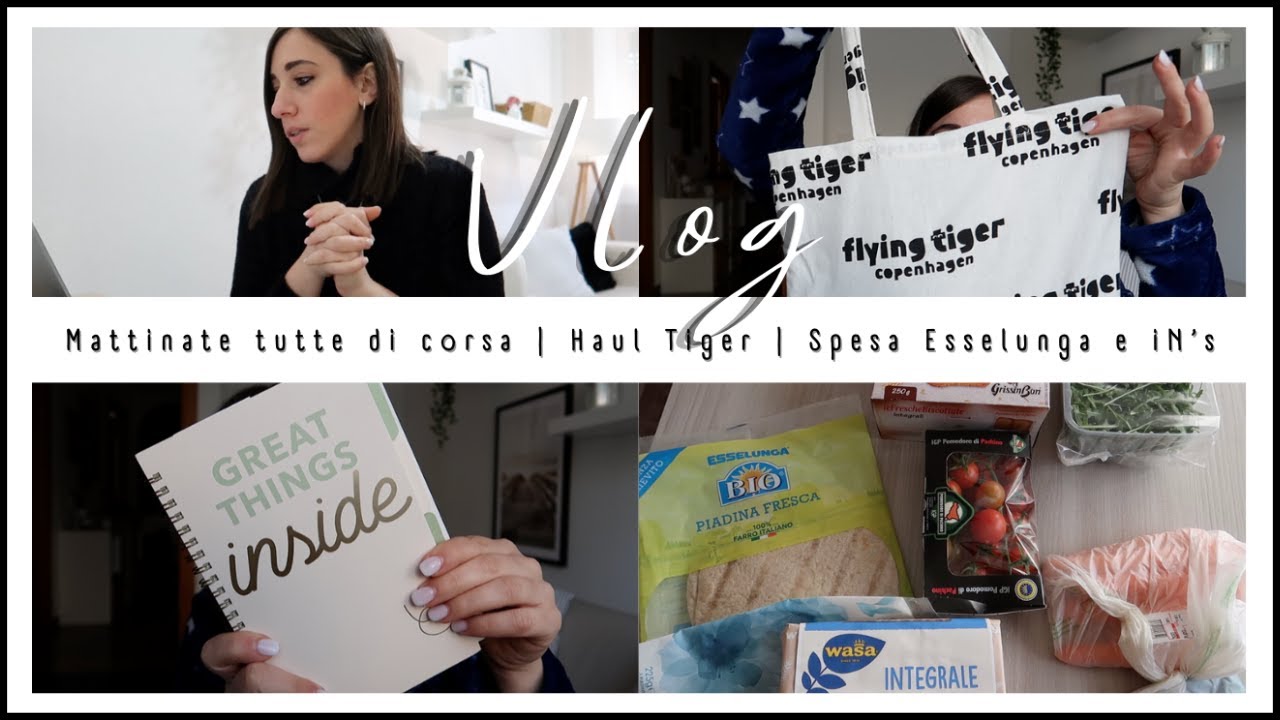 Mattinate tutte di corsa | Haul Tiger | Spesa Esselunga e iN’s