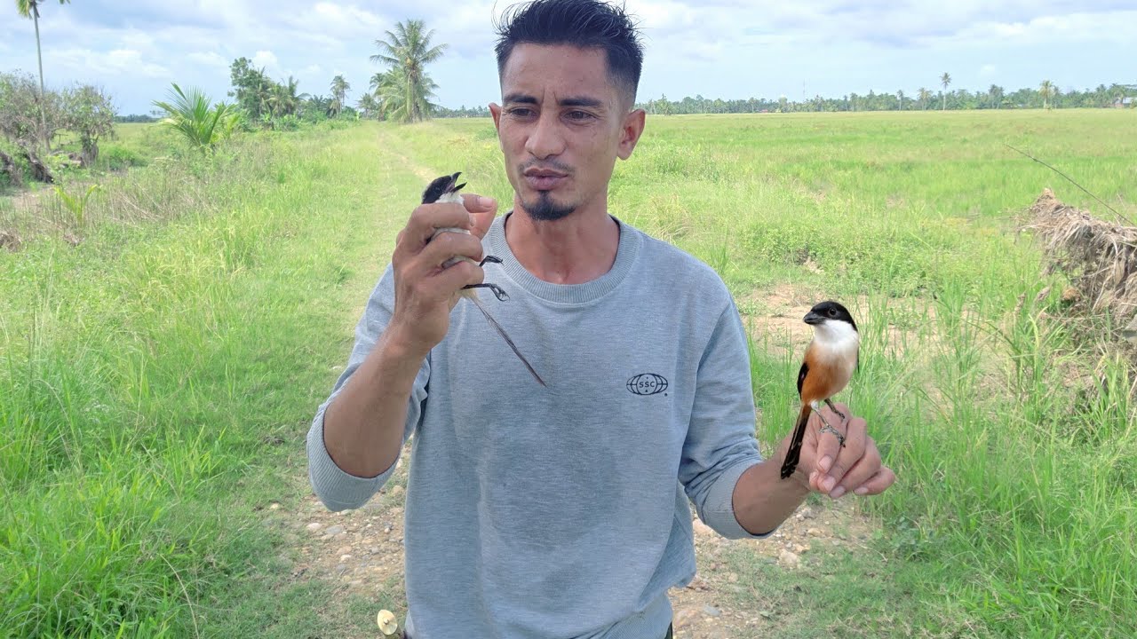 WOOWW INI LUARRRR BIASAA_DAPAT BURUNG MEWAAH SEMUA
