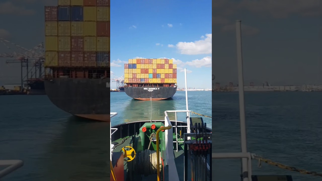 tug Umbilo docking MSC Sariska V #shortvideo #capetown #tugboat