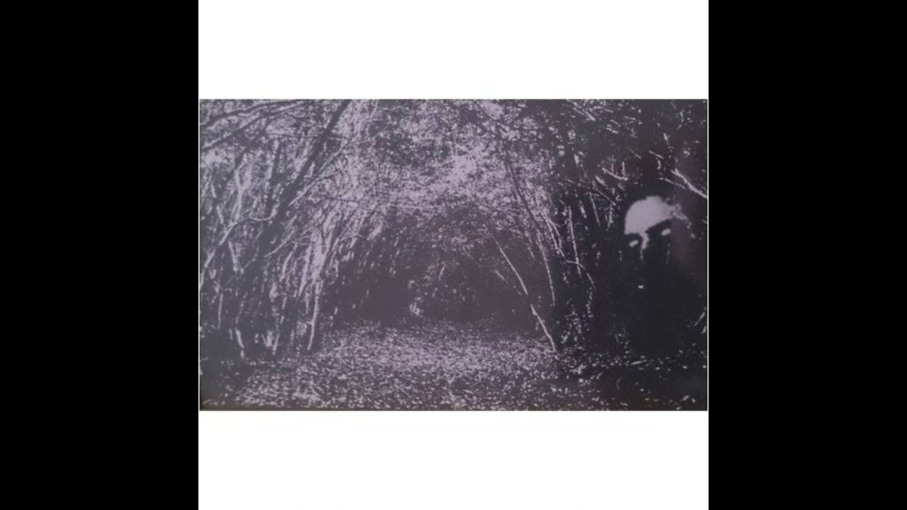 Demstervold - Den Svartne Sp&ouml;kerii (2017)