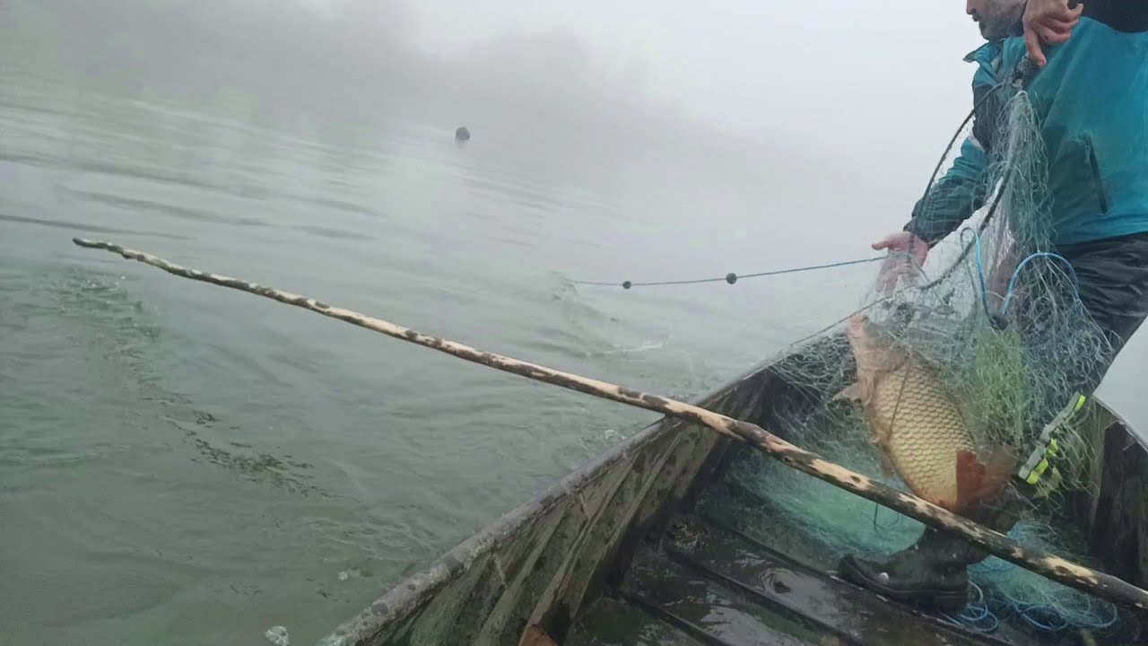 Balyk tutmak - KARP awlamak - aw awlamak - GÖRNÜŞ BILEN Balyk tutmak-balyk awlamak - balyk ýumurtga